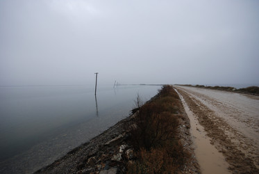 Similar image 8099710