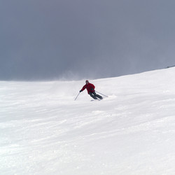 Similar image 8099713