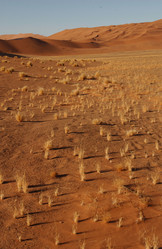 Similar image 8099716