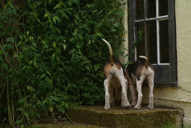 Similar image 8099727