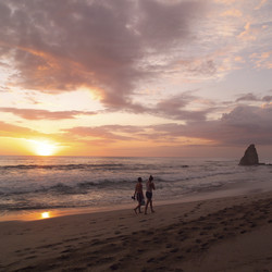 Similar image 8099737