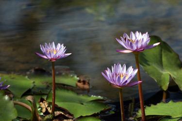 Similar image 8099740