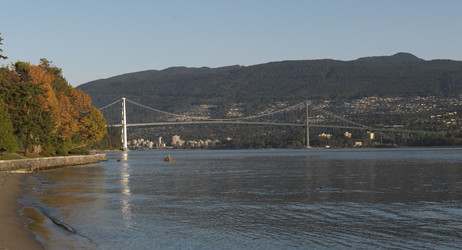 Similar image 8099834