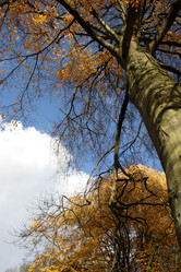 Similar image 8099846