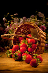 Similar image 8100047