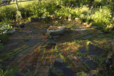 Similar image 8100500