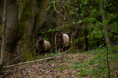 Similar image 8100501