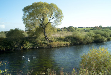 Similar image 8102494