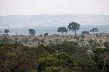 Similar image 8102496