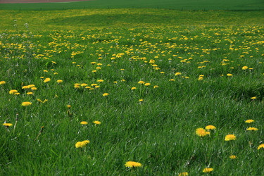 Similar image 8102501