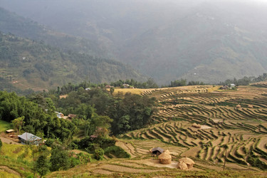 Similar image 8102504