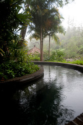 Similar image 8102506