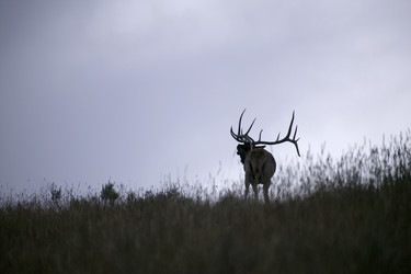 Similar image 8102509