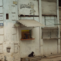 Similar image 8102510