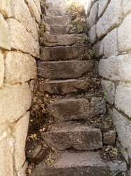 Similar image 8102513