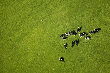 Similar image 8102520