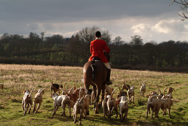 Similar image 8102528