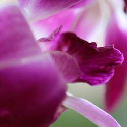 Similar image 8102530