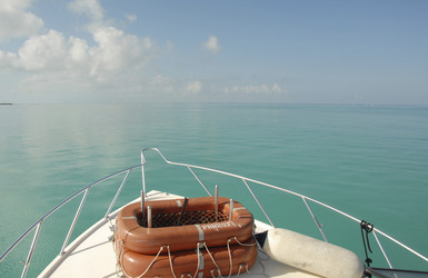 Similar image 8102534