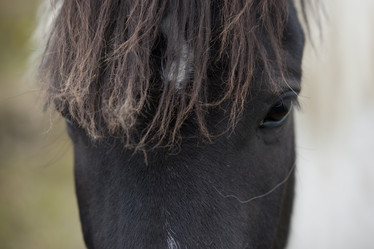 Similar image 8102548