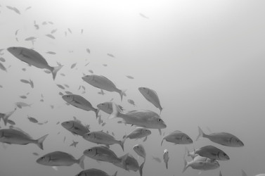 Similar image 8102551