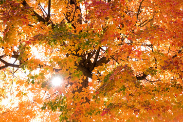 Similar image 8102554