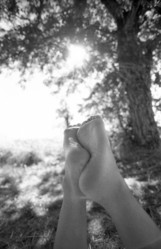 Similar image 8102555