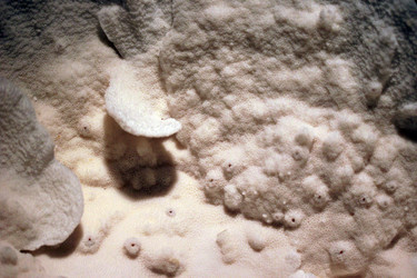 Similar image 8102567