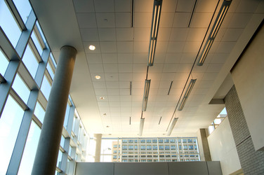 Similar image 8102573