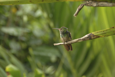 Similar image 8102574