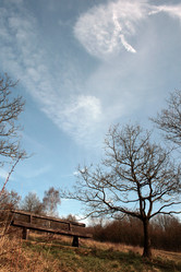 Similar image 8102582