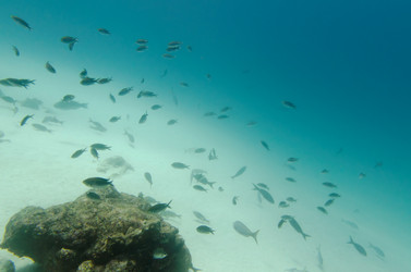 Similar image 8102596