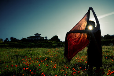 Similar image 8102599