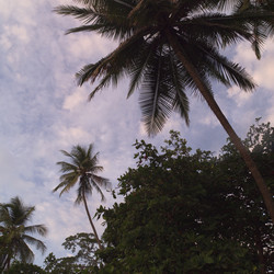 Similar image 8102600