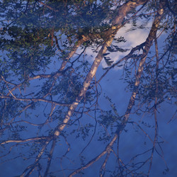 Similar image 8102603