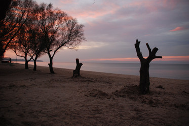 Similar image 8102607