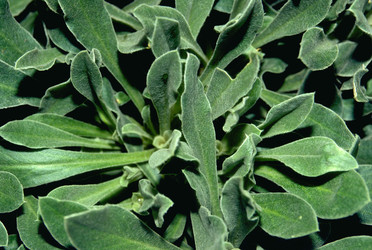 Similar image 8102615