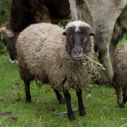 Similar image 8102618