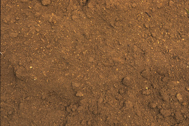 Similar image 8102622