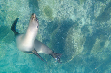 Similar image 8102623