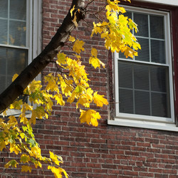 Similar image 8102630