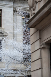 Similar image 8102634