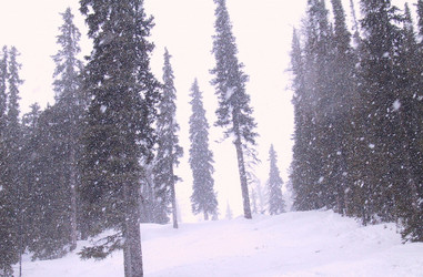 Similar image 8102637