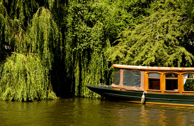 Similar image 8102642