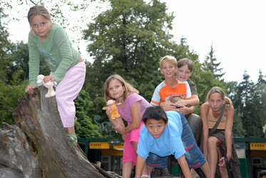 Similar image 8102643