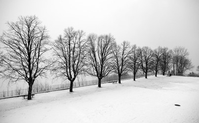 Similar image 8102647