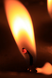 Similar image 8102654