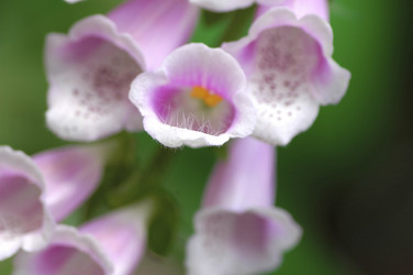 Similar image 8102658