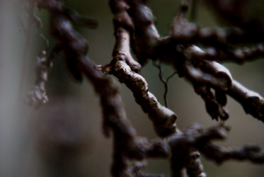 Similar image 8102667