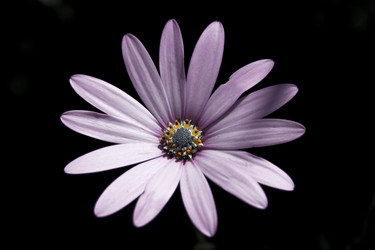 Similar image 8102669